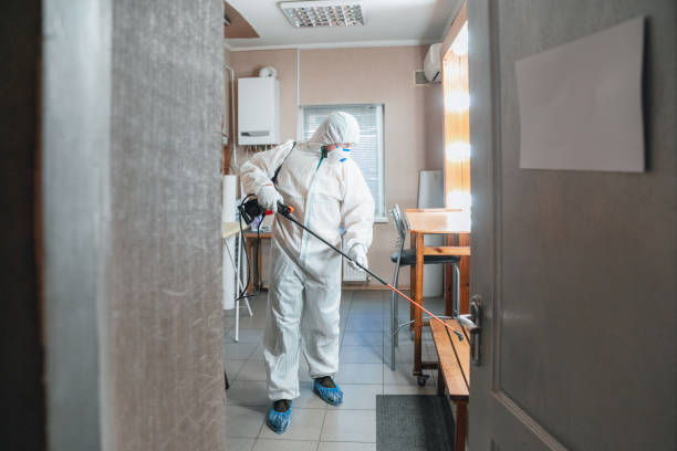 mold remediation, mold removal