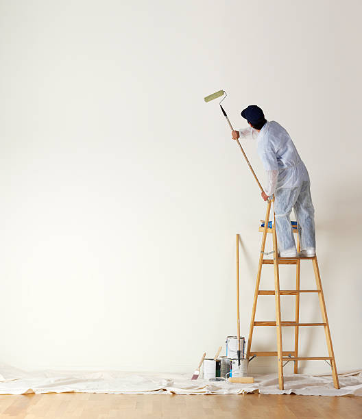 paint
interior painting